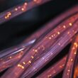 Cablu internet 1