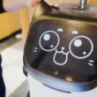 Robot-pisică într-un restaurant din Japonia