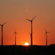 a group of windmills are silhouetted against a sunset