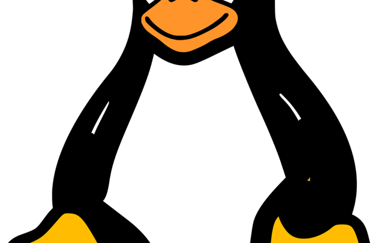 Linux renunță la suportul pentru procesoarele 486 și primele procesoare Pentium