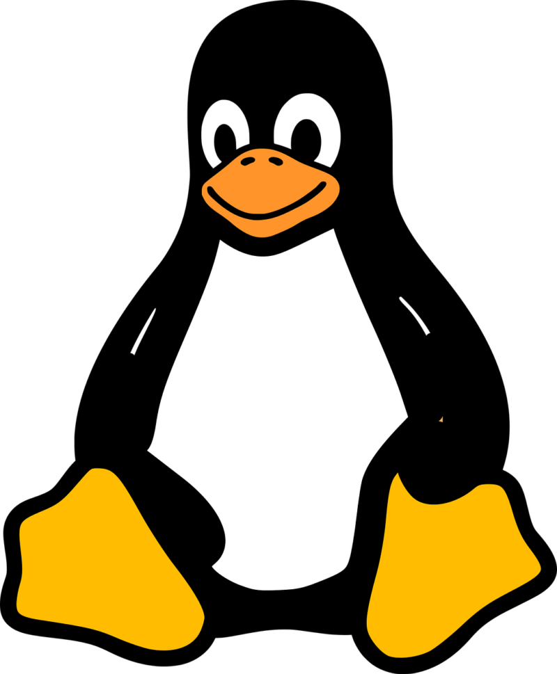 Linux renunță la suportul pentru procesoarele 486 și primele procesoare Pentium