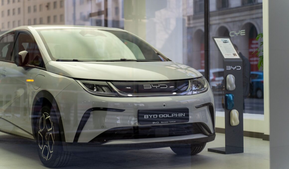 Noul model Dolphin Surf EV al celor de la BYD
