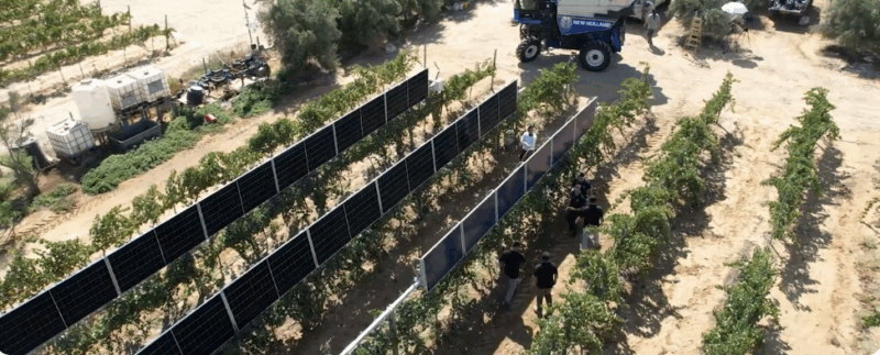 Un startup din Israel prezintă o nouă metodă de combinare a panourilor fotovoltaice cu viticultura care funcționează aproape prea bine: „Fermierii stau la coadă pentru a obține soluția noastră”