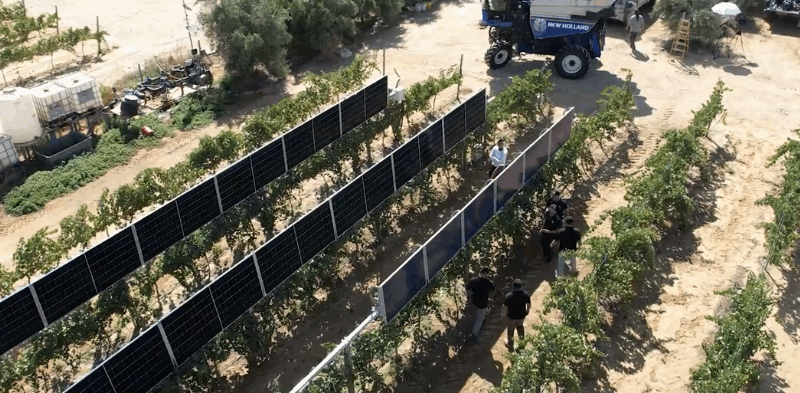 Un startup din Israel prezintă o nouă metodă de combinare a panourilor fotovoltaice cu viticultura care funcționează aproape prea bine: „Fermierii stau la coadă pentru a obține soluția noastră”