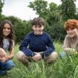 actorii ce vor juca in noul serial harry potter