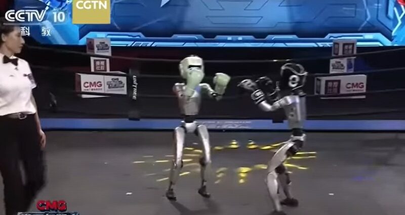 2 roboti umanoizi in ring, in timpul unui meci de box