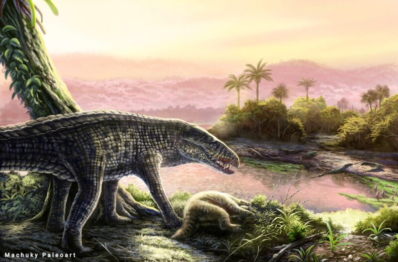 Crocodil terestru preistoric