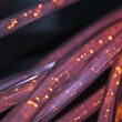 Fibră optică ultrarapidă stabilește un record mondial de viteză: 1,02 petabiti - 1 milion de GB pe secundă pe o distanță de 1.808 km