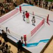 Box cu roboți