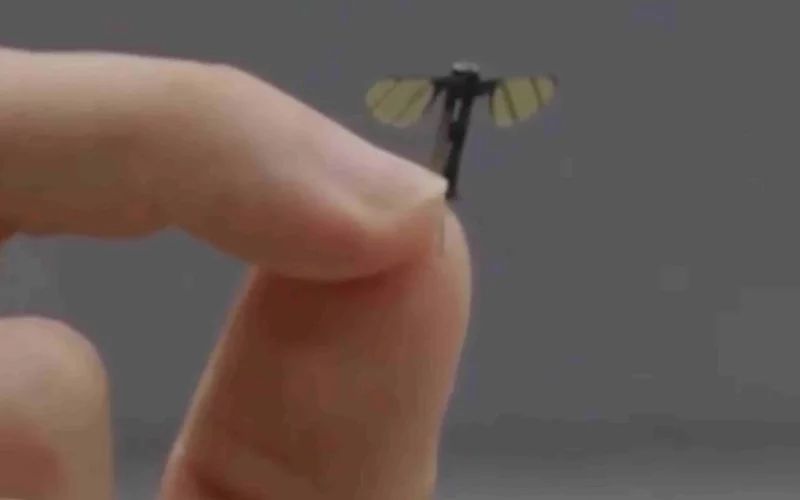 Un laborator de robotică militară chinez a creat o microdronă de dimensiunea unui țânțar pentru operațiuni secrete