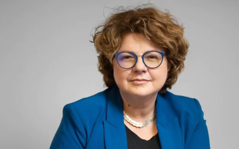 corina vasile de la anis