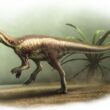 Dinozaur nou descoperit
