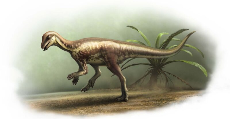 Dinozaur nou descoperit