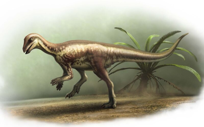 Dinozaur nou descoperit