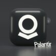 logolul companiei AI Palantir