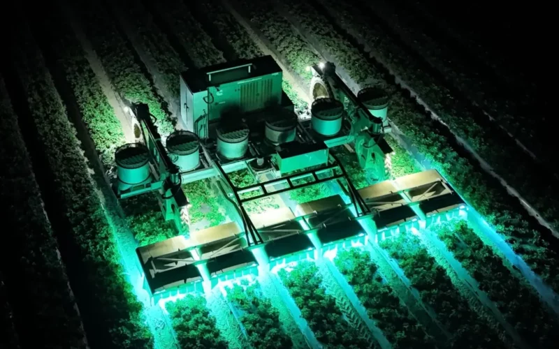 Compania TRIC Robotics implementează tehnologia luminii UV pentru a reduce utilizarea pesticidelor în cultivarea căpșunilor