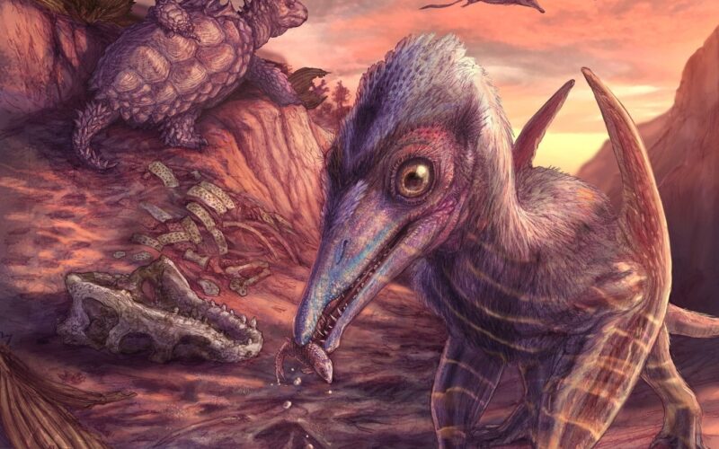 Cel mai vechi pterozaur din America de Nord