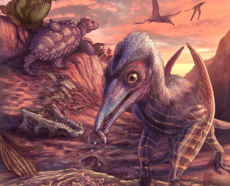 Cel mai vechi pterozaur din America de Nord