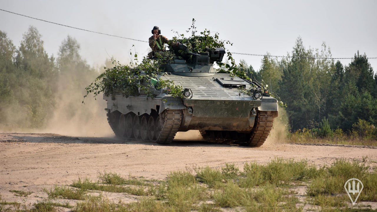 ifv german marder