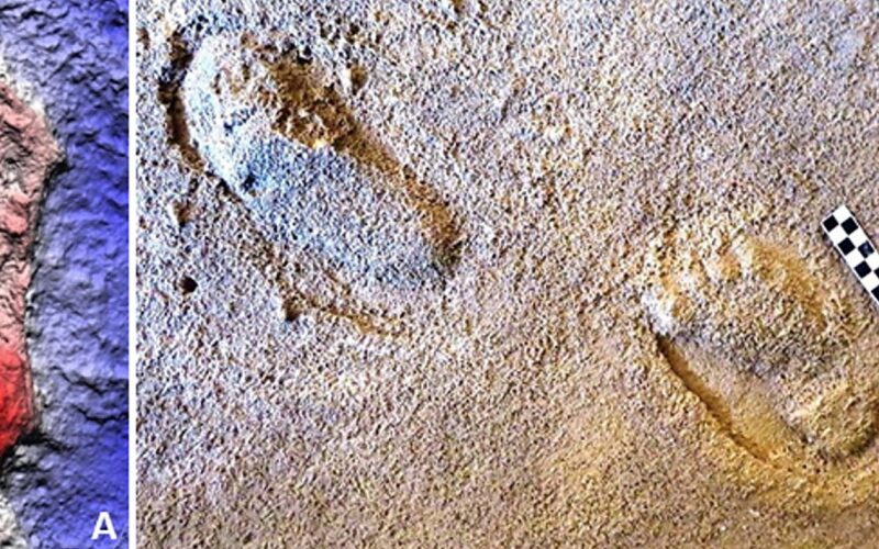 Urme de pași de Neanderthal