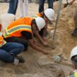 Fosile scoase la lumină de arheologi și paleontologi