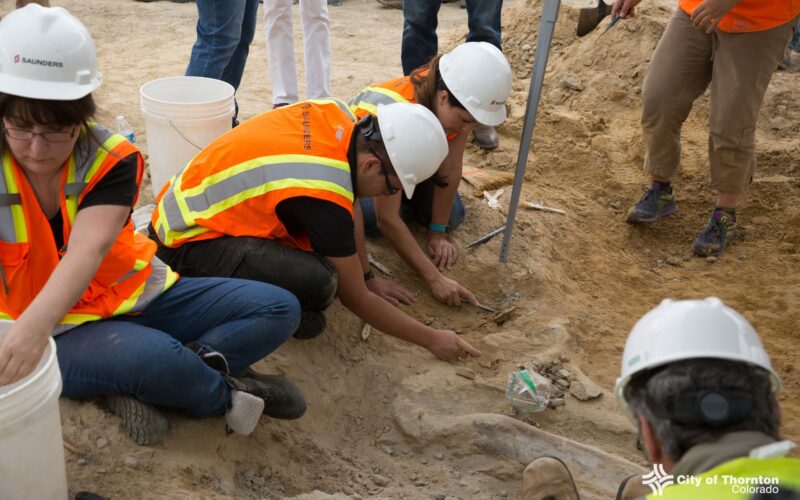 Fosile de dinozaur scoase la lumină de arheologi și paleontologi