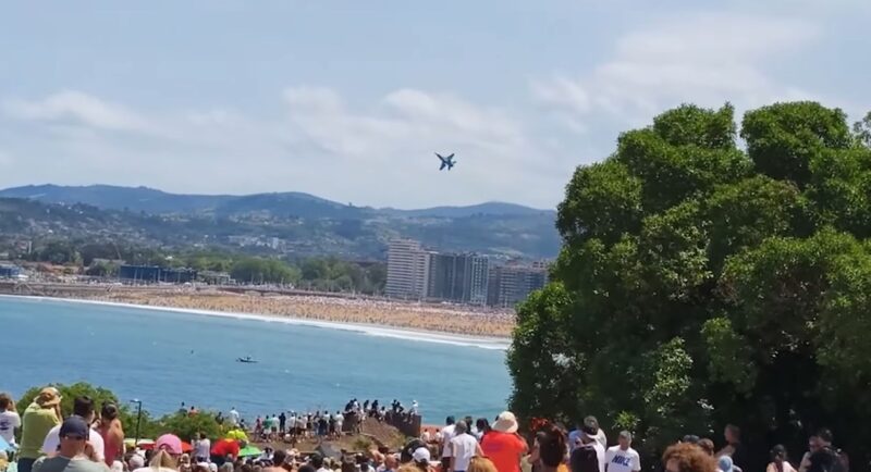 un f-16 face manevre agresive pentru a evita pasari