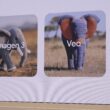 doua imagini cu elefanti generate cu ajutorul instrumentului veo3 de la google
