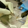 Yersinia pestis identificată în fosile de acum 1500 de ani