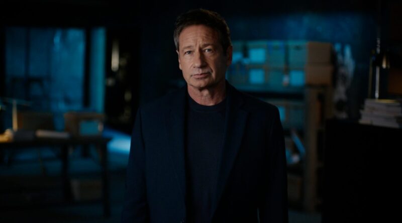 actorul David Duchovny
