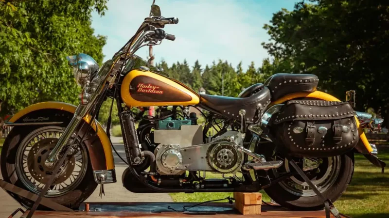 motocicleta harley davidson galbena la marginea unei paduri
