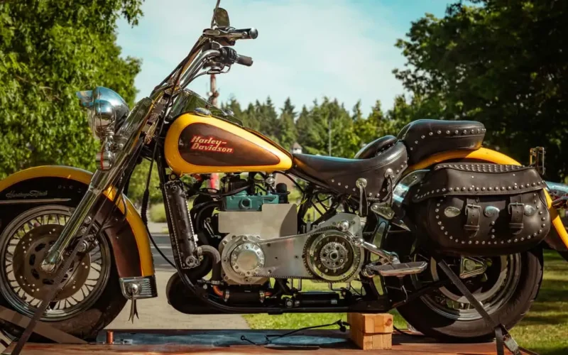 motocicleta harley davidson galbena la marginea unei paduri
