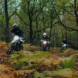 trei motociclete electrice fotografiate in padure