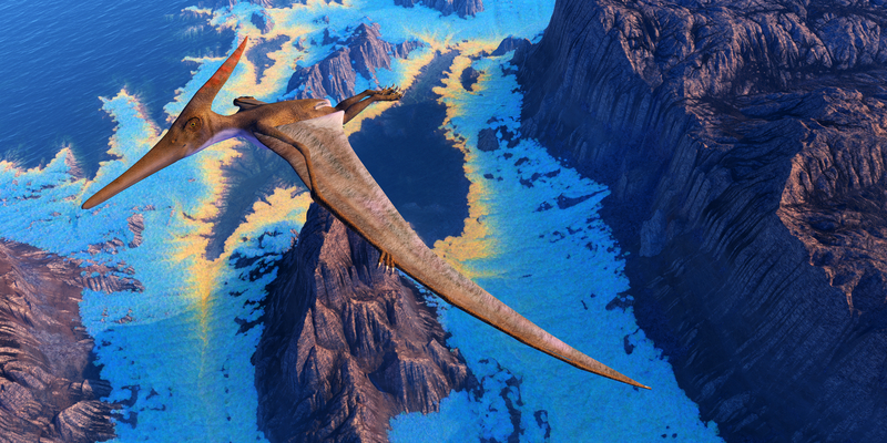 un pterosaur in zbor pe coasta