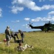 elicopter al fortelor aeriene romane acorda prim ajutor