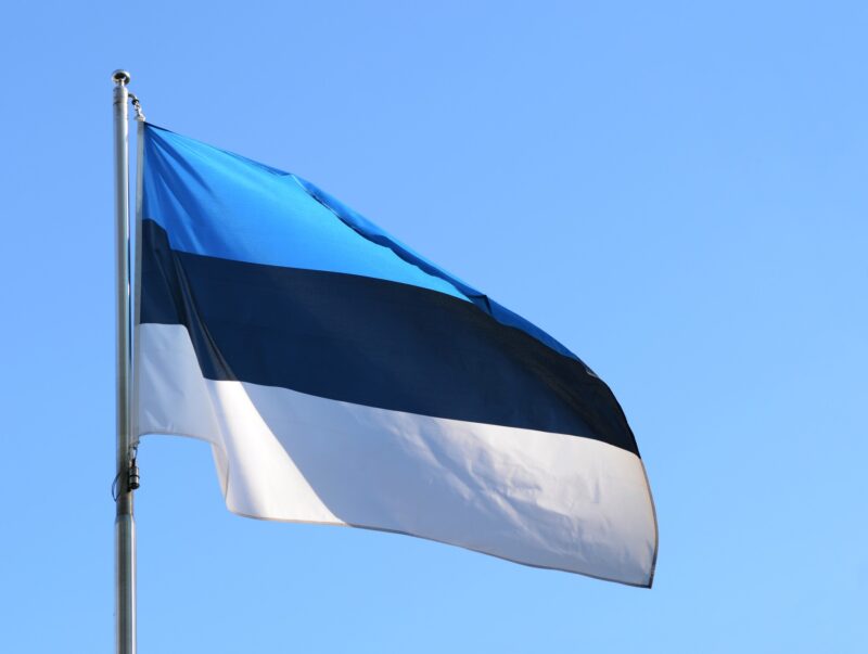 steagul estoniei