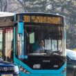 autobuz stb in trafic