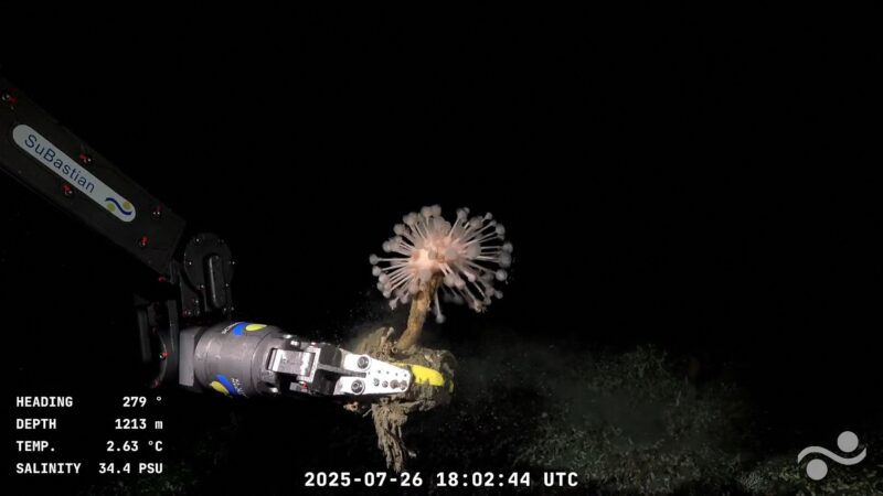 Robot submarin pe fundul oceanului Atlantic
