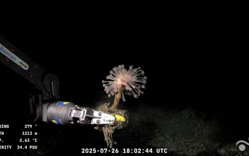 Robot submarin pe fundul oceanului Atlantic