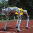 robot patruped pe o pista de atletism