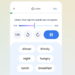 serviciu de tip duolingo in aplicatia google translate