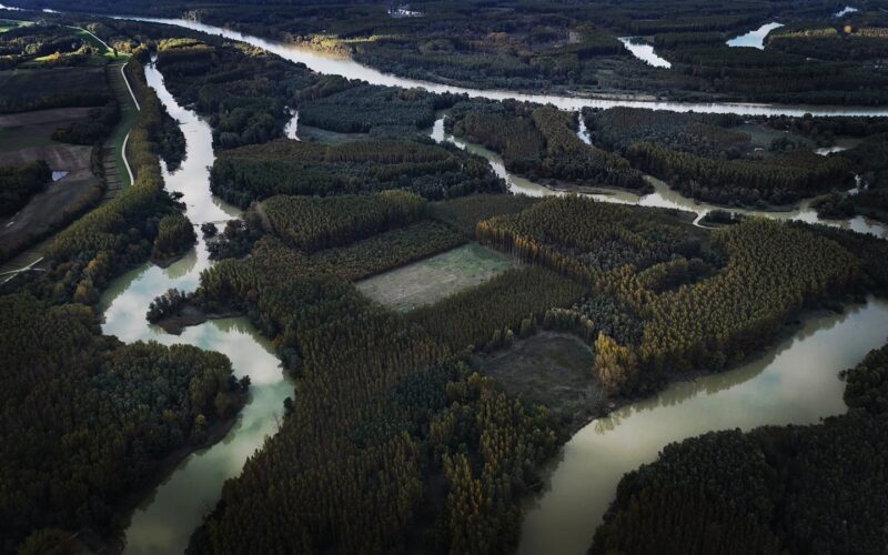 Delta Dunării