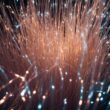 Un nou tip de fibră optică revoluționează comunicațiile pe distanțe lungi și poate crește viteza de transmisie cu 45%