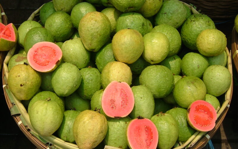 fructe de guava