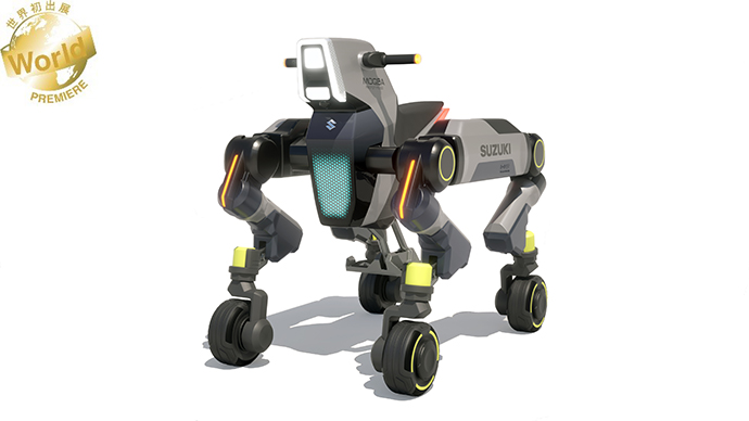 model concept de mobilitate