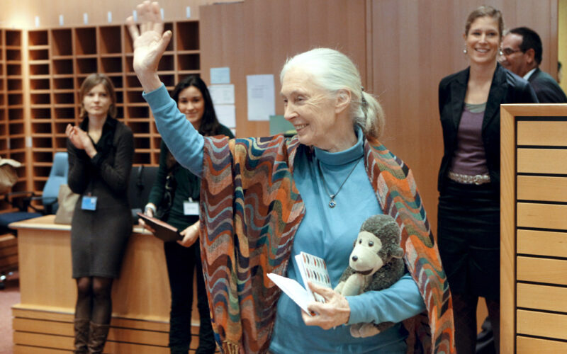 Jane Goodall