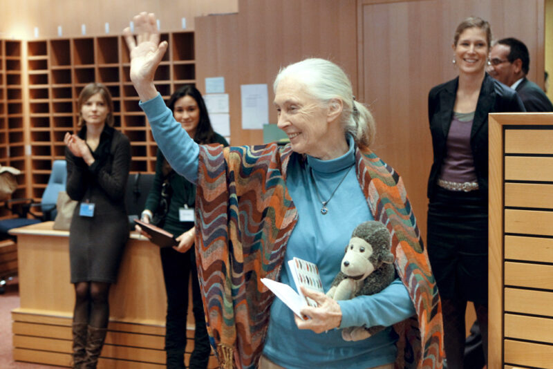 Jane Goodall