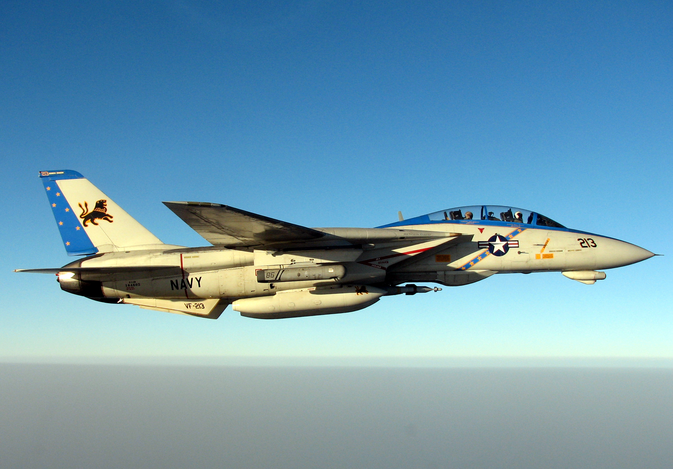 Avion american Grumman F-14 Tomcat