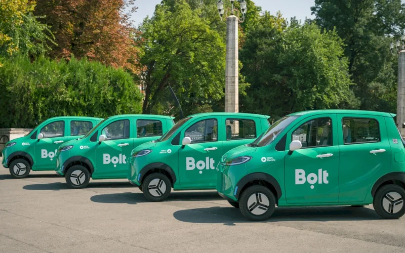 Little Bolt