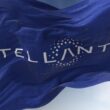 steag cu logo-ul Stellantis